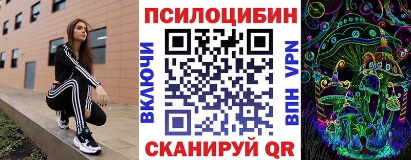 Псилоцибиновые грибы Psilocybe  Хасавюрт 