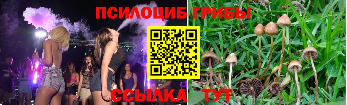 Псилоцибиновые грибы Cubensis  Галлюциногенные грибы MAGIC MUSHROOMS  Вход с VPN  Хасавюрт 